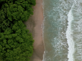 Drone-saving aerials